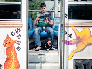 mountain express dog friendly campaign 16