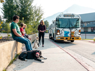 mountain express dog friendly campaign 2