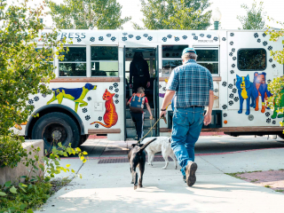 mountain express dog friendly campaign 6